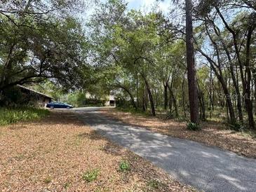 Driveway leading to home amid lush, mature trees providing shade and a scenic approach at 2068 Pennsylvania Dr, Deland, FL 32724