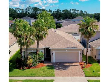 Inviting single-story home featuring a two-car garage, paver driveway, mature palm trees, and manicured landscaping at 1233 Girog Ave, Port Orange, FL 32129