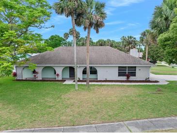 Charming single-story home with a well-manicured lawn, palm trees, and an inviting arched entryway at 718 Sleepy Hollow Dr, Port Orange, FL 32127