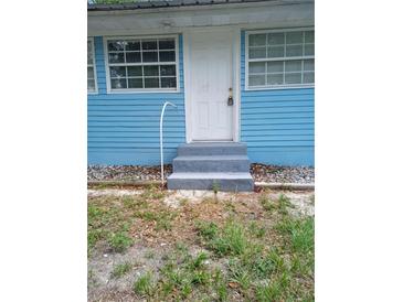 Charming blue house featuring a secure white door and freshly painted concrete steps at 20422 Canvas Back Rd, Altoona, FL 32702