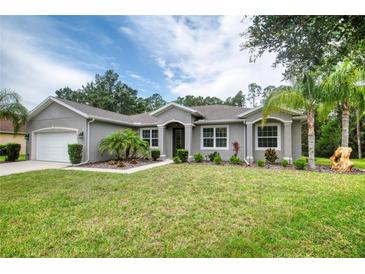Charming single-story home featuring a well-manicured lawn and lovely landscaping at 3428 Saltee Cir, Ormond Beach, FL 32174