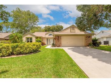 Charming single-story home with a well-manicured lawn, mature trees, and a two-car garage at 212 Mallard Ln, Daytona Beach, FL 32119