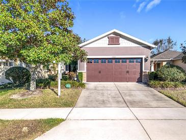 Charming single-Gathering home featuring a two-car garage and lush landscaping in a well-maintained neighborhood at 22004 Belgian Ct, Mount Dora, FL 32757