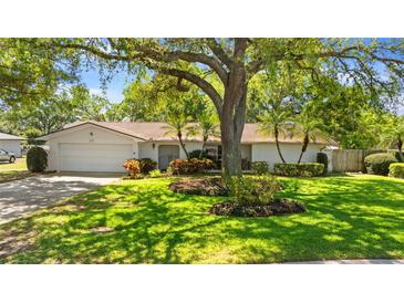 Charming single-story home with lush landscaping, a well-manicured lawn, mature trees and a large driveway at 1711 Tierra Alta Dr, Lakeland, FL 33813