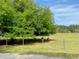 Picturesque rural scene featuring goats resting beneath a tree on a spacious grassy field at 850 Eden Dr, Saint Cloud, FL 34771