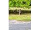 A goat standing on its hind legs eating leaves from a tree behind a barbed-wire fence at 850 Eden Dr, Saint Cloud, FL 34771