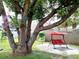 Covered patio swing under a large shade tree at 11432 Cardiff Dr, Orlando, FL 32837