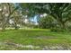 Expansive green lawn with mature trees draped in Spanish moss creating a serene and picturesque landscape at 4292 Sw 73Rd Trl, Bushnell, FL 33513