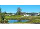 View of a serene pond with several ducks floating on the water, surrounded by lush greenery and mature trees at 2469 Courtland Blvd, Deltona, FL 32738