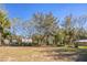 Large backyard with mature trees and fencing at 1316 Hackett St, Mount Dora, FL 32757