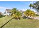 Landscaped front yard with palm trees and a house at 1010 Clear Creek Cir, Clermont, FL 34714