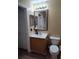 Bathroom with toilet, vanity, and mirror at 15900 Sw 19Th Avenue Rd, Ocala, FL 34473