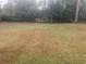 Open backyard space with trees at 1236 Ne 22Nd St, Ocala, FL 34470