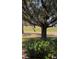 Landscaped backyard with a view of a lush golf course at 13026 Se 97Th Terrace Rd, Summerfield, FL 34491