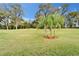 Large, grassy backyard with mature palm trees creating a tranquil and picturesque setting at 1711 Laurel Glen Pl, Lakeland, FL 33803