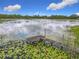Scenic view of a weathered wooden dock on a lake with lily pads and a reflection of the sky and clouds at 318 Mitnik Dr, Deltona, FL 32738