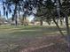 View of community green space with mature trees at 910 Orchid St, Lady Lake, FL 32159