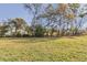 Expansive backyard featuring lush green grass and a border of mature trees at 11331 Sw 54Th Cir, Ocala, FL 34476