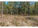 Heavily wooded backyard offering privacy at 5593 Sw 199Th Ct, Dunnellon, FL 34431