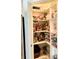 Walk-in pantry with shelving stocked full of groceries and household goods at 424 Luna Bella Ln # 330, New Smyrna Beach, FL 32168