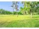Large grassy backyard with trees, offering a serene and natural setting at 4435 Fairway Oaks Dr, Mulberry, FL 33860