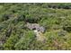 An aerial shot shows the home nestled in a green, lush, and secluded area with tall trees at 445 Se 98Th Ave, Webster, FL 33597