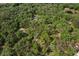 Aerial view of a lush, wooded homesite with mature trees and a long driveway at 445 Se 98Th Ave, Webster, FL 33597