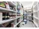 Well-organized pantry featuring extensive shelving for storing food items and kitchen supplies at 445 Se 98Th Ave, Webster, FL 33597