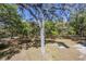 This home's yard features mature trees with sweeping branches over manicured lawn at 445 Se 98Th Ave, Webster, FL 33597