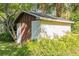 Exterior view of a backyard outbuilding surrounded by ferns and foliage at 1606 Center St, Deland, FL 32720