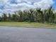 Image of the view of the wooded perimeter from the property at 387 Winter Nellis Cir, Winter Garden, FL 34787