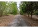 Scenic driveway leading to the property, surrounded by lush greenery and mature trees at 3333 Se 3Rd Ave, Ocala, FL 34471