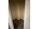 Walk-in closet with shelving for storage at 9826 Poplar Pl, Orlando, FL 32827