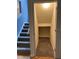 Carpeted storage closet located beneath a staircase at 9826 Poplar Pl, Orlando, FL 32827