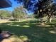 Spacious front yard with mature trees and a fence in the background, providing privacy and a natural setting at 3 Lakeside Dr, Ocala, FL 34482