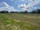 Expansive backyard featuring a large green lawn with some trees in the distance at 4910 Lyric Dr, Mascotte, FL 34753