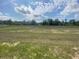 View of expansive backyard featuring a large green lawn with trees in the distance at 4910 Lyric Dr, Mascotte, FL 34753