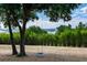 Picturesque backyard featuring mature trees and a playful swing overlooking a serene lake at 17358 Hwy 27, Clermont, FL 34715