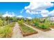 Community garden featuring raised garden beds with a variety of plants and vegetables at 11865 Ginsberg Pl, Orlando, FL 32832