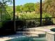View from the pool featuring beautiful trees and landscaping in the backyard at 9632 Spring Lake Dr, Clermont, FL 34711