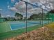 Community tennis courts with a high chain-link fence, offering a great space for residents to enjoy a game at 9632 Spring Lake Dr, Clermont, FL 34711