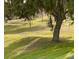 Lush green community lawn with scattered trees, creating a peaceful and inviting outdoor space at 9632 Spring Lake Dr, Clermont, FL 34711