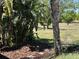 Landscaped backyard with mulch and trees for privacy and natural beauty at 9632 Spring Lake Dr, Clermont, FL 34711