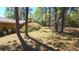 View of the backyard from the side of the house with mature trees at 20045 Sw 88Th Place Rd, Dunnellon, FL 34431