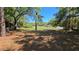 View of the side yard showing mature trees and lawn to the street at 20045 Sw 88Th Place Rd, Dunnellon, FL 34431