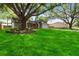 Charming home with lush landscaping, a large tree, and a well-maintained lawn at 5003 Timber Ridge Trl, Ocoee, FL 34761