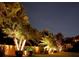 Palm trees and shrubbery illuminated in front yard at night at 6567 Eagle Ridge Way, Lakeland, FL 33813