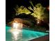 Night view of the tranquil pool waterfall feature surrounded by lush tropical plants at 1568 Cordgrass Way, Lakeland, FL 33813