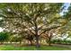 Shady trees dotting a large lot at 2899 Sw 66 St, Ocala, FL 34476