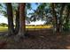 Scenic pasture with horses grazing, framed by mature trees and a classic black fence at 2899 Sw 66 St, Ocala, FL 34476